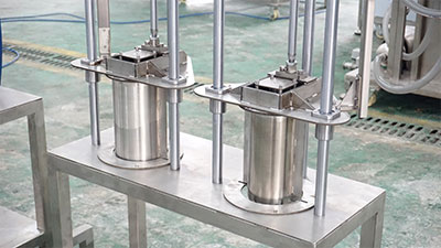 2-in-1 Pneumatic Pineapple Peeling and Coring Machine