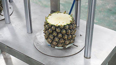2-in-1 Pneumatic Pineapple Peeling and Coring Machine