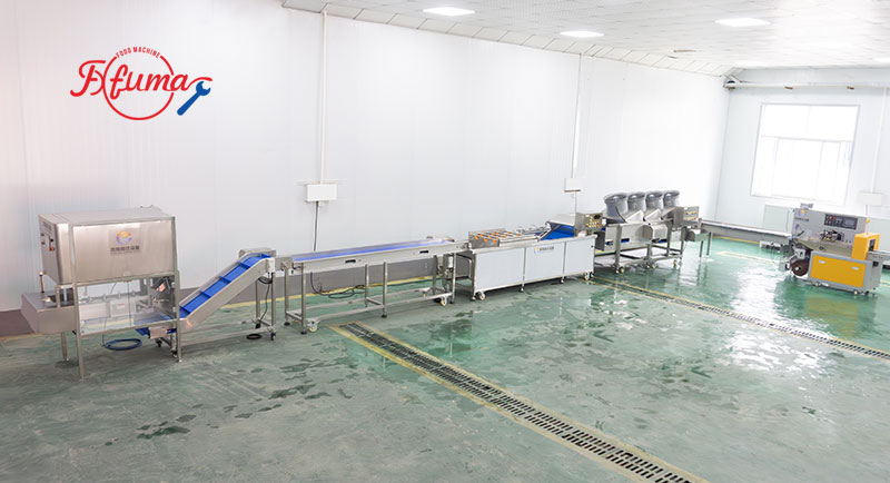 Ready-To-Eat Pineapple Process Line - Peeling, End-Cutting, Washing and Packaging Machine