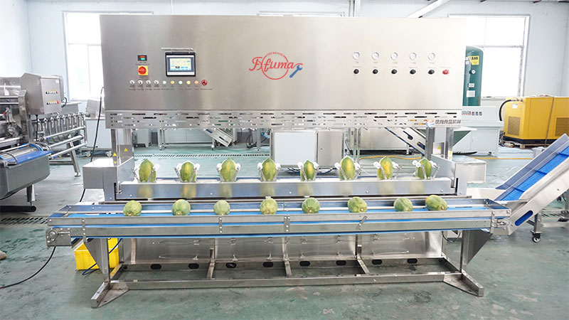 Multi-Head Papaya Peeling Machine
