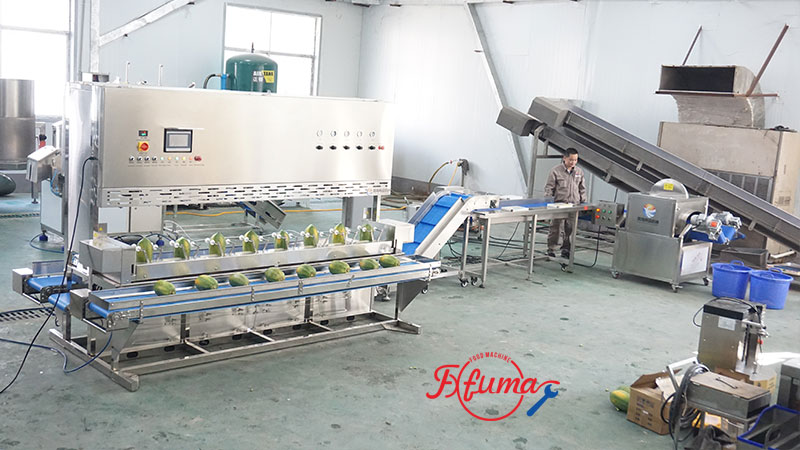 Papaya Processing Line - Peeling and Halving