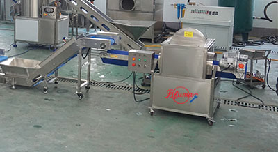 Papaya Processing Line - Peeling and Halving