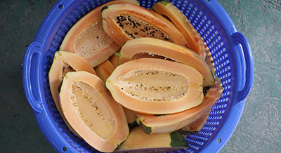 Papaya Processing Line - Peeling and Halving