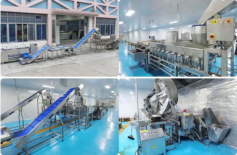 Automatic Fresh/Frozen French Fries Production Line - Washing, Peeling, Sorting, Cutting, Dewatering