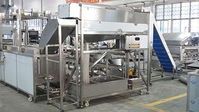 Turmeric Ginger Process Line - Washing, Peeling, Blanching, Cutting