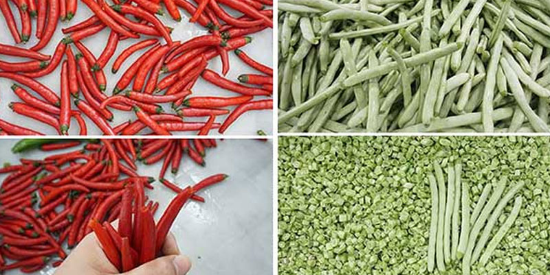 Automatic Green Bean Top and End Trimming Machine DD-250