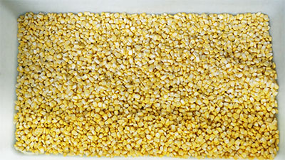 Small Scale Fresh Sweet Corn Process Line - Kernel Thresher, Blancher, Dewater Machine