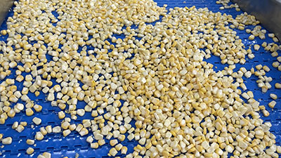 Commercial Fresh Corn Sheller Machine Maize Thresher