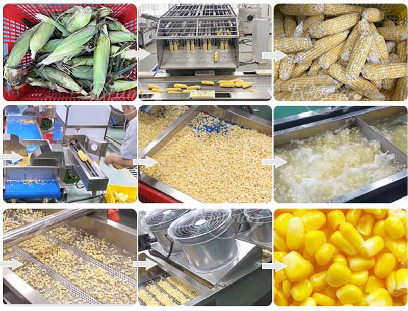 Industrial Complete Sweet Corn Processing Line