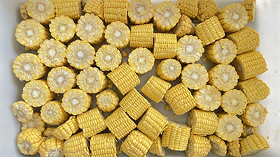 Industrial Fresh Corn Cob Cutter Machine industrial Sweet Corn Segment Cutter