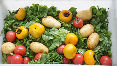 Auto-Discharge Fruit and Vegetable Bubble Washer Machine FXC-70