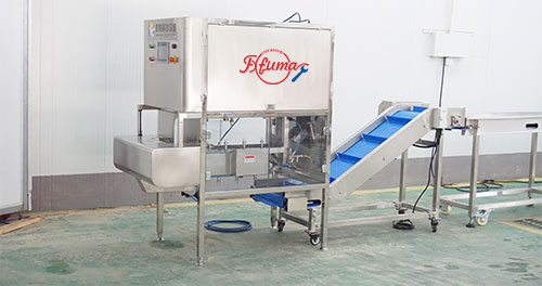 Pineapple Processing Line Solutions from China Supplier