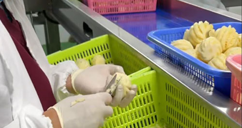 Pineapple Processing Line Solutions from China Supplier