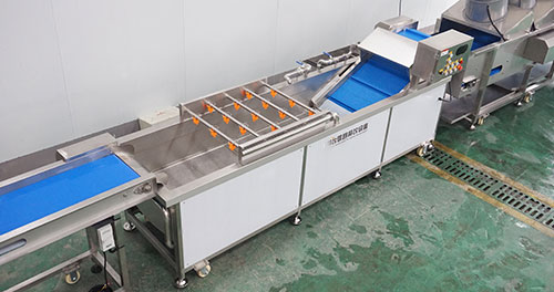 Pineapple Processing Line Solutions from China Supplier