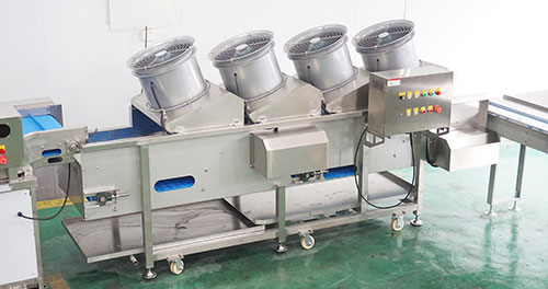 Pineapple Processing Line Solutions from China Supplier