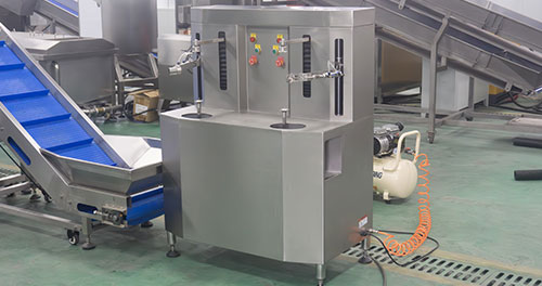 Pineapple Processing Line Solutions from China Supplier