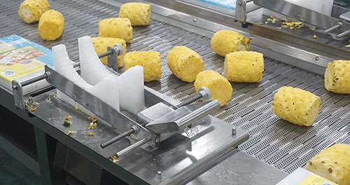 Pineapple Processing Line Solutions from China Supplier