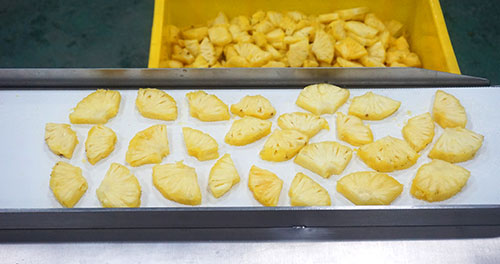 Pineapple Processing Line Solutions from China Supplier