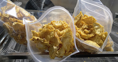 Pineapple Processing Line Solutions from China Supplier