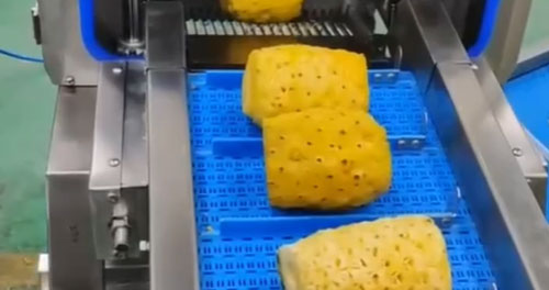 Pineapple Processing Line Solutions from China Supplier
