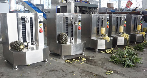 Pineapple Processing Line Solutions from China Supplier
