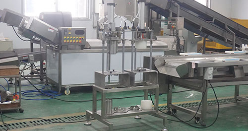 Pineapple Processing Line Solutions from China Supplier