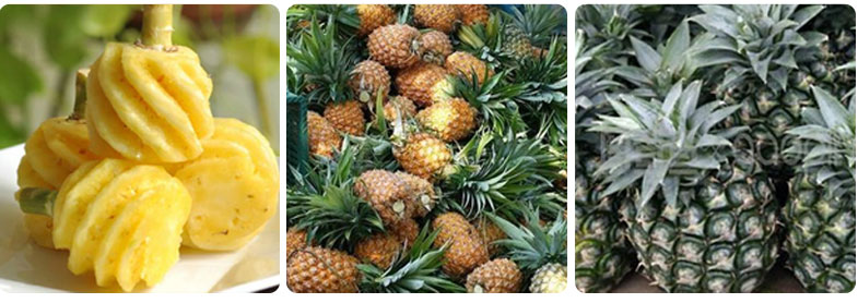 Pineapple Processing Line Solutions from China Supplier