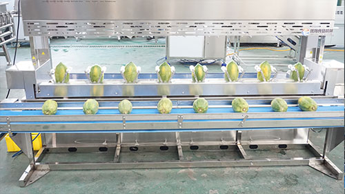 8/16 Heads Mango Peeling Machine
