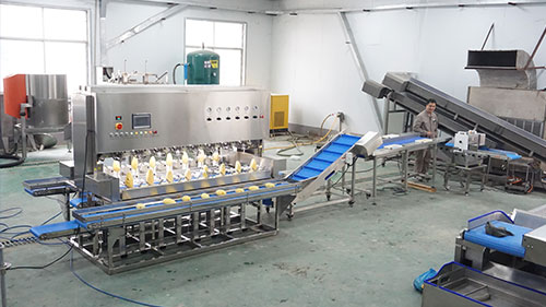 8/16 Heads Mango Peeling Machine