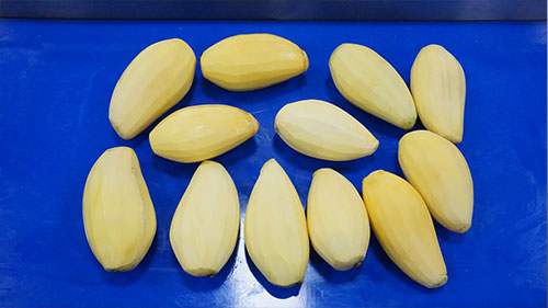 8/16 Heads Mango Peeling Machine