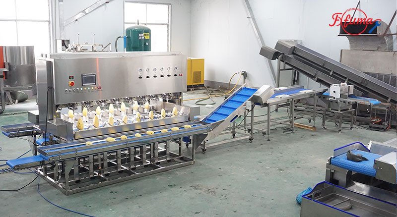 Bluk Mango Processing Line for Dried Mango