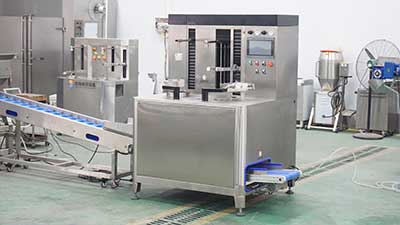 Automatic Pineapple Ring Processing Line