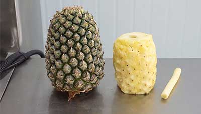 Automatic Pineapple Ring Processing Line