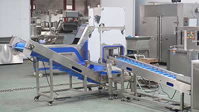 Manual and Automatic Pineapple Ring Processing Lines: Solutions for Different Processing Needs