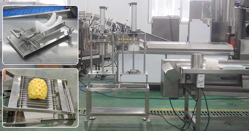 Manual and Automatic Pineapple Ring Processing Lines: Solutions for Different Processing Needs