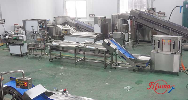 Customized Dried Pineapple Processing Line