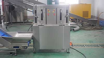 Customized Dried Pineapple Processing Line