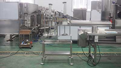 Customized Dried Pineapple Processing Line