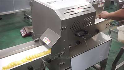 Customized Dried Pineapple Processing Line