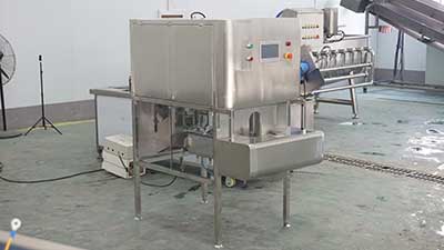 Tommy Atkins Mango Peeling