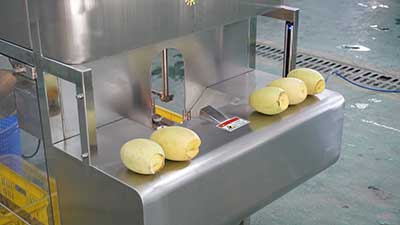 Tommy Atkins Mango Peeling