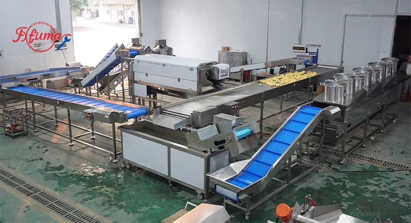 Potato Washing, Peeling and Air Drying Line, Root Vegetable Processing Solution