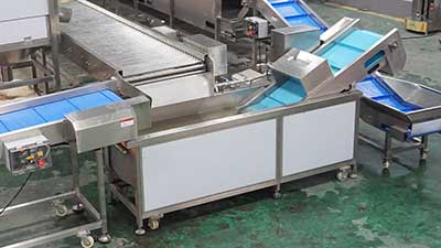 Potato Washing, Peeling and Air Drying Line, Root Vegetable Processing Solution