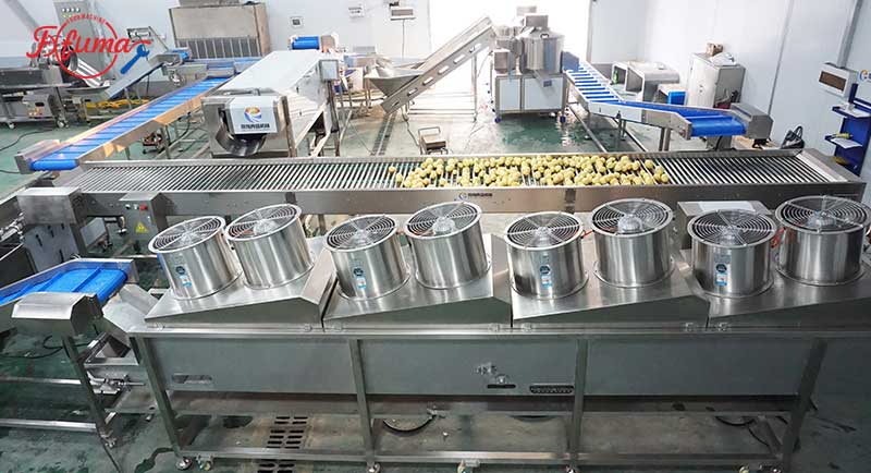 Customized Potato Washing Pre-Processing Line for Wholesale Sales