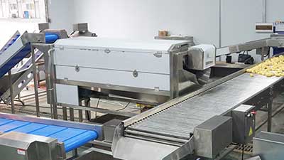 Customized Potato Washing Pre-Processing Line for Wholesale Sales