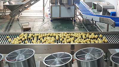 Customized Potato Washing Pre-Processing Line for Wholesale Sales