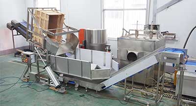 Vegetable and Fruit Dumper Hopper with Drum Washing Machine