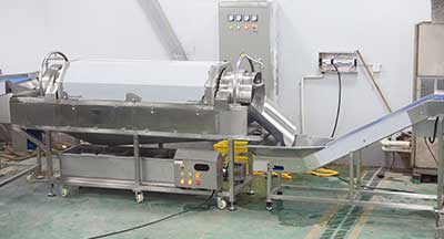 Vegetable and Fruit Dumper Hopper with Drum Washing Machine