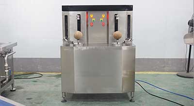 Customized Coconut Processing Line - Dehusking Peeling Washing