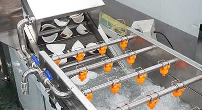 Customized Coconut Processing Line - Dehusking Peeling Washing